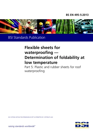 BS EN 00495-5-2013.pdf