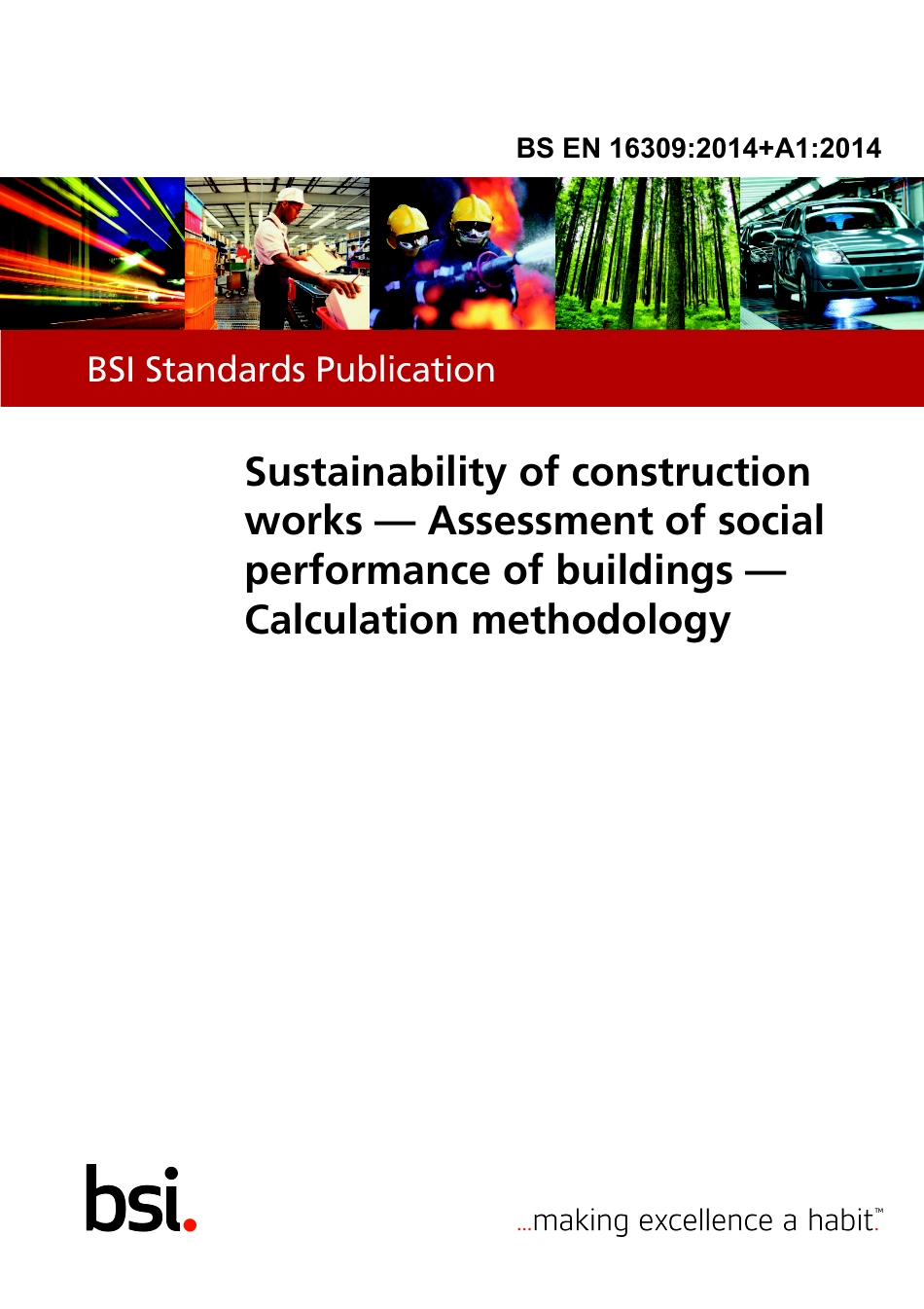 BS EN 16309-2014 + A1-2014.pdf_第1页