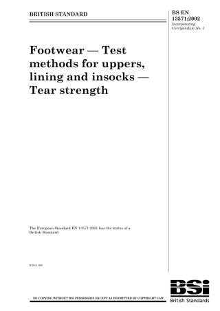 BS EN 13571-2002 (2004).pdf