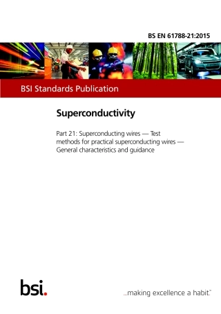 BS EN 61788-21-2015.pdf