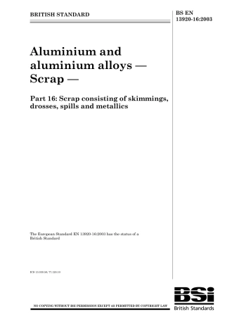 BS EN 13920-16-2003.pdf