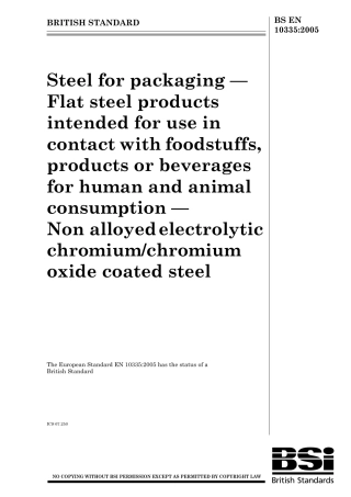 BS EN 10335-2005.pdf