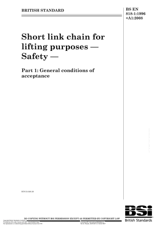 BS EN 00818-1-1996 + A1-2008.pdf