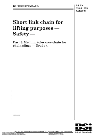 BS EN 00818-3-1999 + A1-2008.pdf