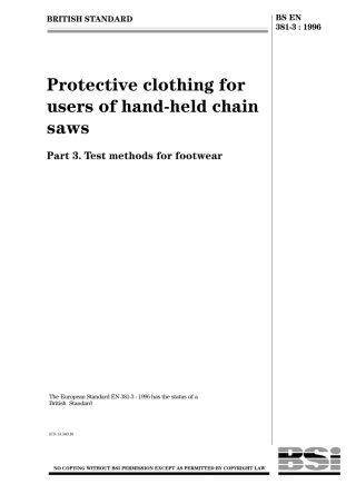 BS EN 00381-3-1996.pdf