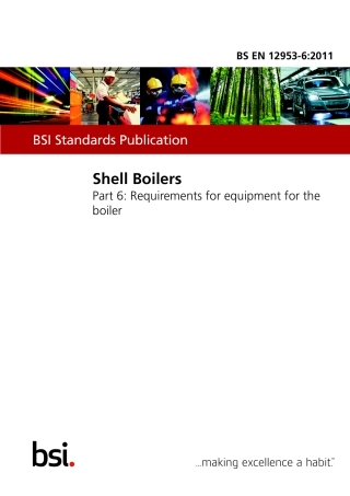BS EN 12953-6-2011.pdf