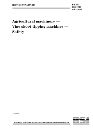 BS EN 00706-1996 + A1-2009.pdf