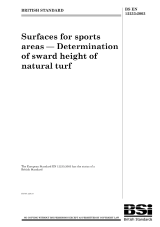 BS EN 12233-2003.pdf