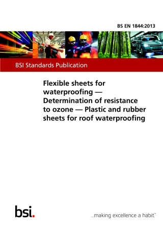 BS EN 01844-2013.pdf