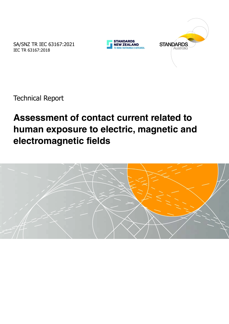 SA SNZ TR IEC 63167-2021.pdf_第1页