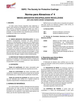 SSPC AB 4 PTBR.pdf