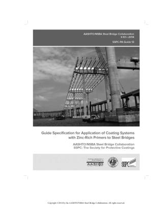 SSPC PA Guide 13.pdf