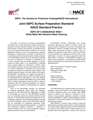 SSPC SP 5 (WAB).pdf