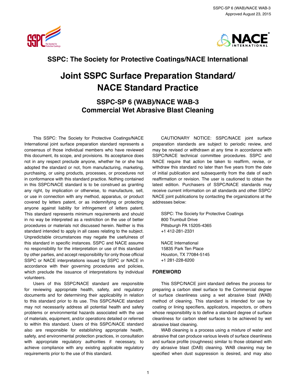 SSPC SP 6 (WAB).pdf_第1页