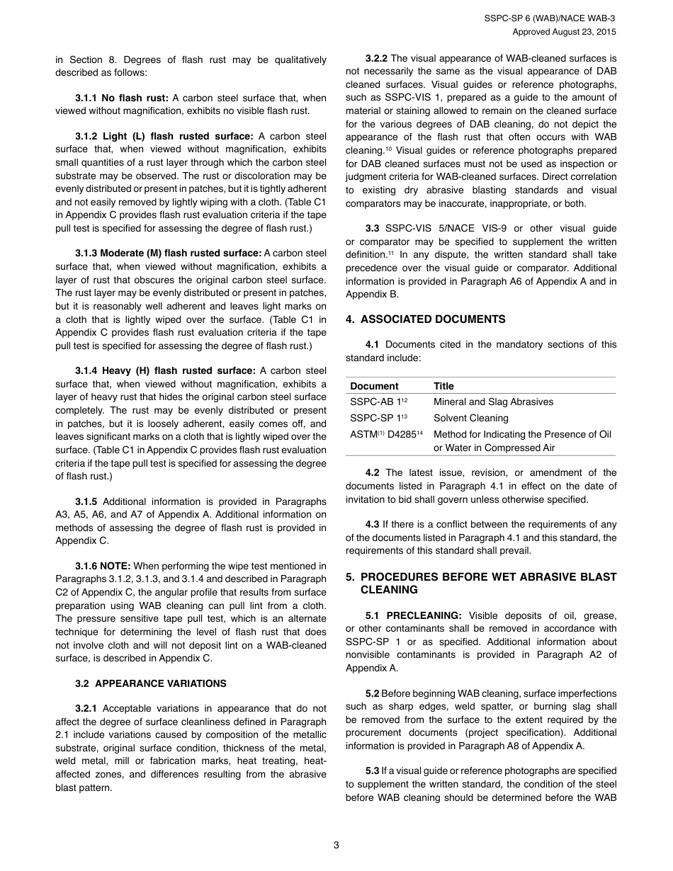 SSPC SP 6 (WAB).pdf_第3页