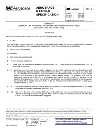 SAE AMS 2807B-2012.pdf