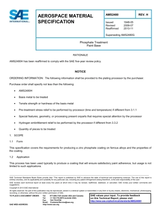 SAE AMS 2480h-2013.pdf