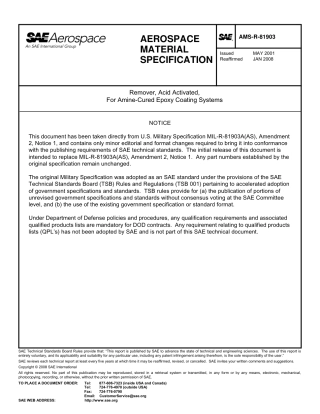 SAE AMS-R-81903-2008.pdf