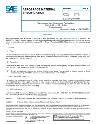 SAE AMS 6905B-2014.pdf