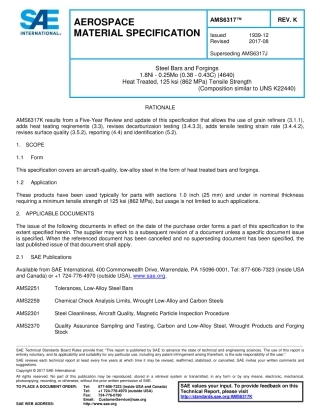 SAE AMS 6317K-2017.pdf