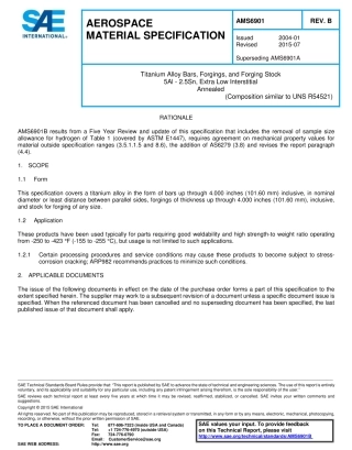 SAE AMS 6901B-2015.pdf