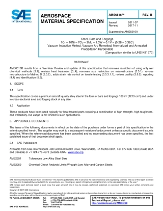 SAE AMS 6516B-2017.pdf