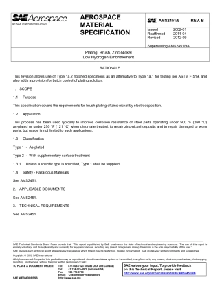 SAE AMS 2451-9B-2012.pdf