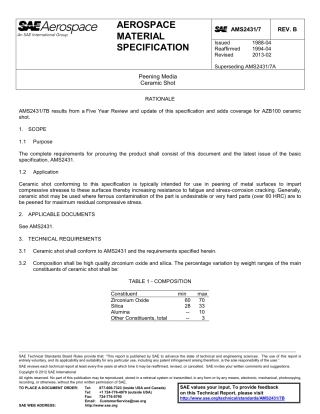 SAE AMS 2431-7B-2013.pdf