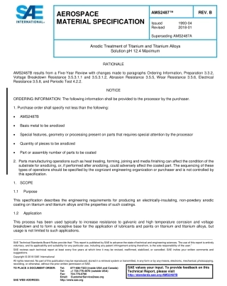 SAE AMS 2487B-2018.pdf