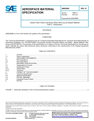 SAE AMS 2980B-2014.pdf