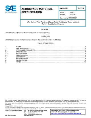SAE AMS 2980-2B-2014.pdf