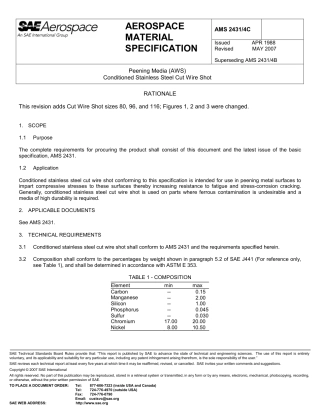 SAE AMS 2431-4C-2007.pdf