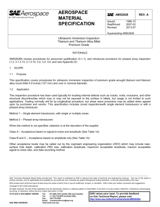 SAE AMS 2628A-2013.pdf