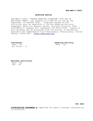 SAE AMS-C-19853-1998.pdf