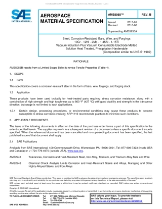 SAE AMS 5955B-2016.pdf