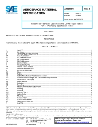 SAE AMS 2980-3B-2014.pdf