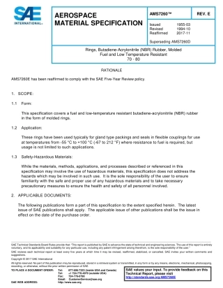SAE AMS 7260E-2017.pdf