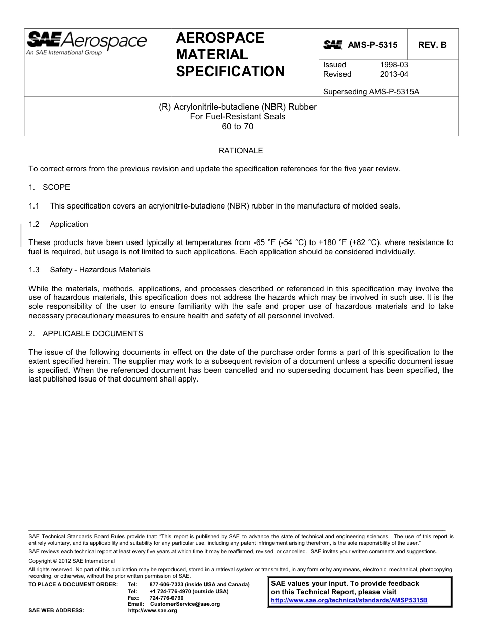 SAE AMS-P-5315B-2013.pdf_第1页