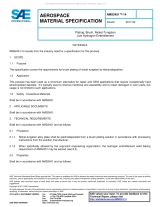 SAE AMS 2451-14-2017.pdf