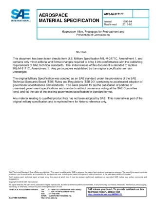 SAE AMS-M-3171-2018.pdf