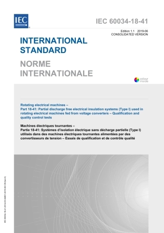 IEC 60034-18-41-2019.pdf