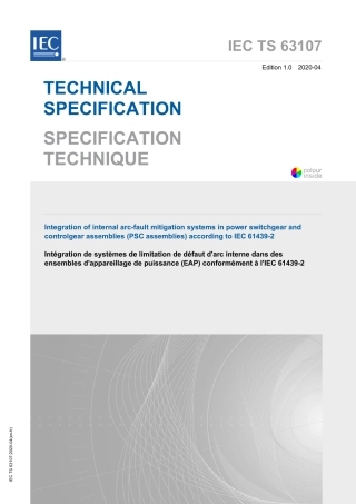 IEC TS 63107-2020.pdf