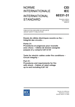 IEC 60331-31-2002.pdf