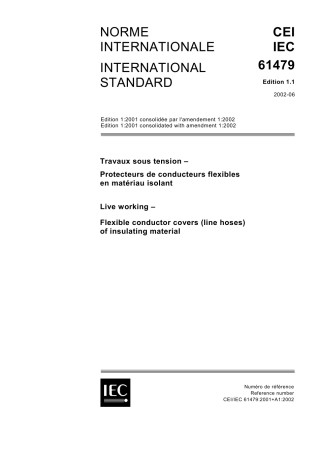 IEC 61479-2002.pdf