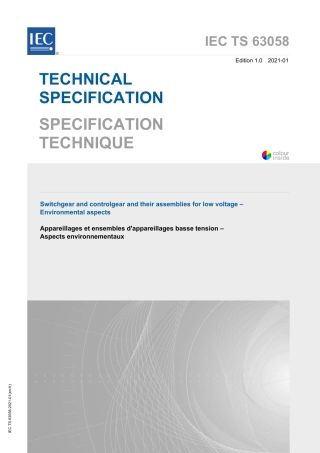 IEC TS 63058-2021.pdf