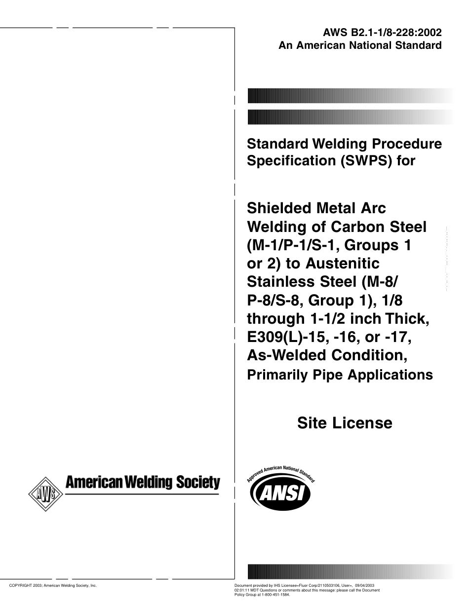 AWS B2.1-1 8-228-2002.pdf_第1页