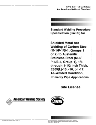 AWS B2.1-1 8-228-2002.pdf