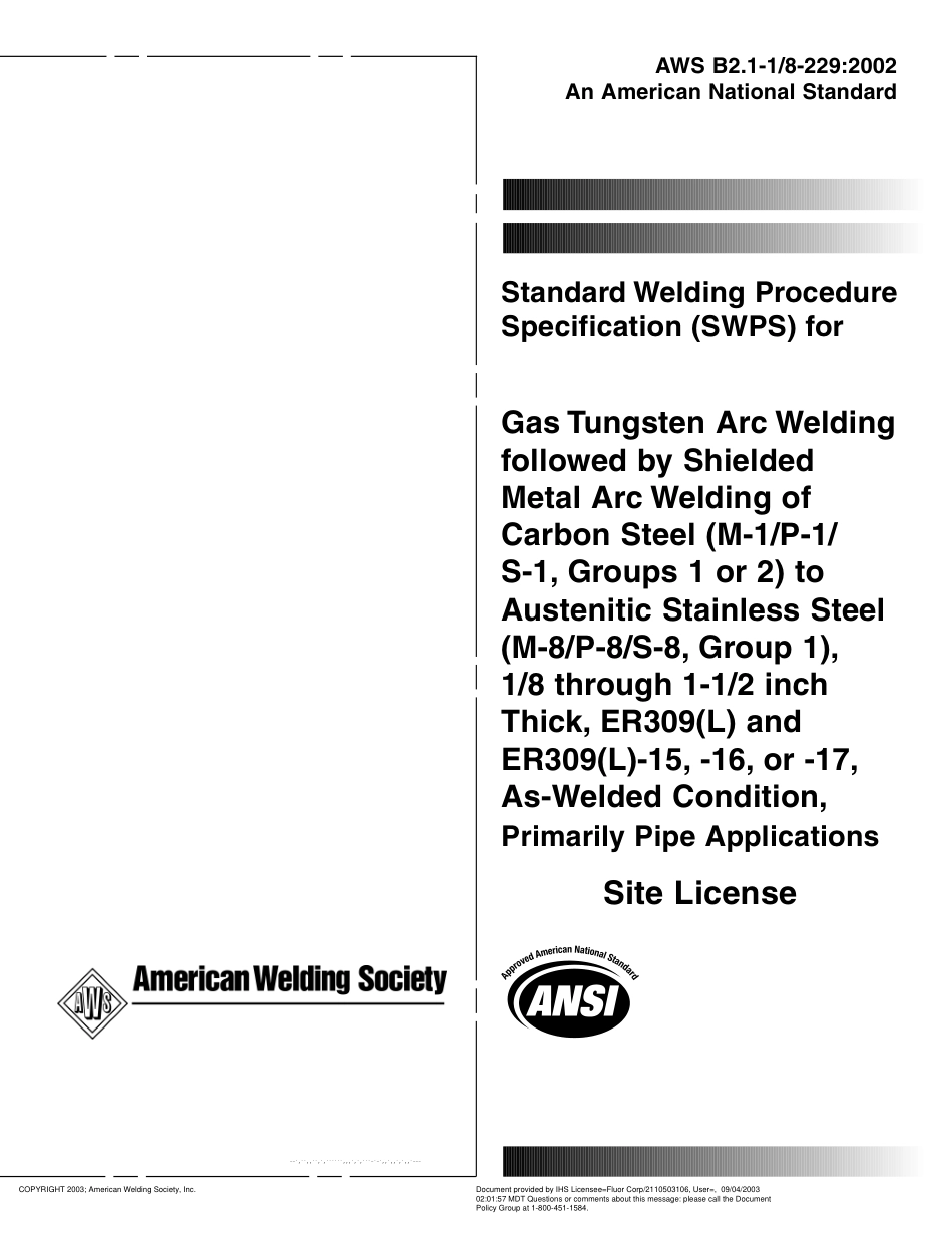 AWS B2.1-1 8-229-2002.pdf_第1页