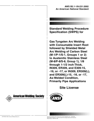 AWS B2.1-1 8-231-2002.pdf