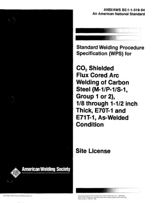 AWS B2.1-1-019-1994 Standard Welding Procedure Specification (WPS) for CO2 Shielded Flux Cored Arc Welding of Carbon Steel (M-1／P-1／S-1. Group 1 or 2).pdf
